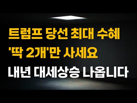 [주식] 트럼프 당선 최대 수혜 '딱 2개'만 사세요. 내년 대세상승 나옵니다.[2차전지관련주, LG에너지솔루션전망, 에코프로비엠, 포스코홀딩스, 12월주식전망]