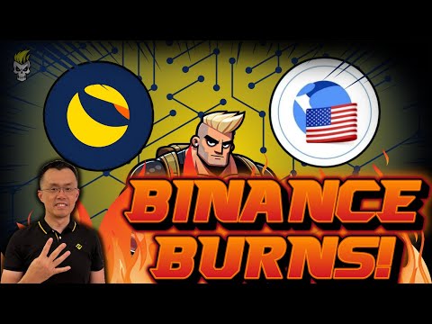 TERRA LUNA CLASSIC UPDATE! 24 HOURS TO THE NEXT BINANCE BURN!