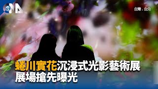 蜷川實花沉浸式光影藝術展 展場搶先曝光｜中央社影音新聞