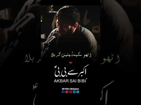 utho sakina chale karbala Noha Status | Bibi Sakina Noha WatsApp Status 1446/2024 #shortvideo