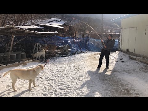 새해에는 아이들과 시간보내기❤️