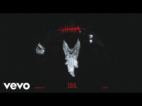 Lil Baby - Idol (Visualizer)