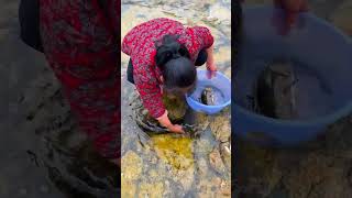 There are crabs in this hole #fishing #fish #rurallife #outdoors #fishinglife #asmr #relievestress