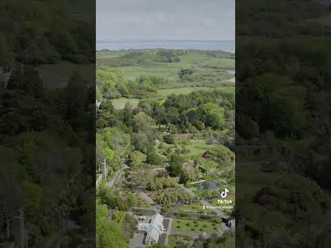 Logan Botanic Gardens #southwestscotland #shorts