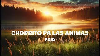 Feid - CHORRITO PA LAS ANIMAS (Lyrics)