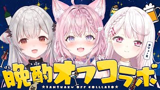 【 #パトしいこよ 】晩酌オフコラボ～～～！！！マシュマロ募集中～～～！！【博衣こより/ホロライブ】