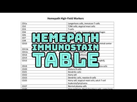 Leukemia & Lymphoma Immunostains 101 (Hemepath Immunostains & Flow Cytometry Chart) pathology