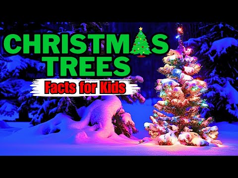 Why Do We Decorate Christmas Trees? (Facts for Kids)