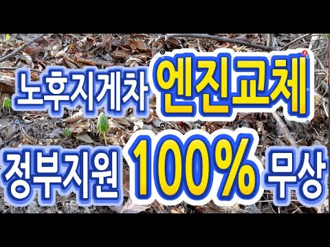 노후지게차 정부 100% 지원 엔진 무상교체에 대해 알아보도록 하겠습니다