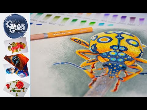 Digital Bug Art Using Kalour Budget Colored Pencils