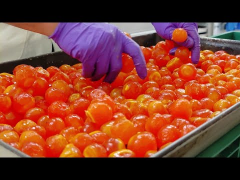 Salted Duck egg Yolk pastry Making    /傳承三十年,經典古早味蛋黃酥製作-紀家蛋黃酥-Taiwan Street Food