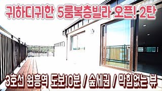 고양시 덕양구 원흥동신축빌라-5룸복층빌라-원흥역세권-실55평-[넥스트하우스