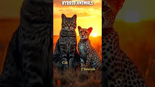 Incredible Hybrid Species | #shorts #short #shortvideo #animals #wildlife #ai #animalfascination