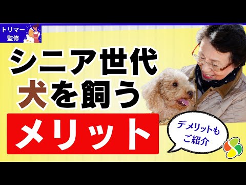 【トリマー監修】シニア世代が犬を飼うメリット、デメリット！