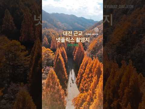 대전근교 단풍 막차. 넷플릭스 촬영지