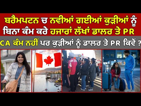 🔵 Brampton ਚ ਨਵੀਆਂ ਗਈਆਂ Student ਕੁੜੀਆਂ ਨੂੰ ਬਿਨਾ ਕੰਮ ਕਰੇ ਹਜਾਰਾਂ ਲੱਖਾਂ Dollar ਤੇ PR ?