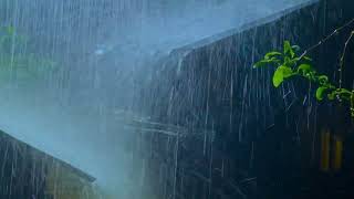 Rain of Roof | Perfect Sounds Of Rain And Thunder To Sleep