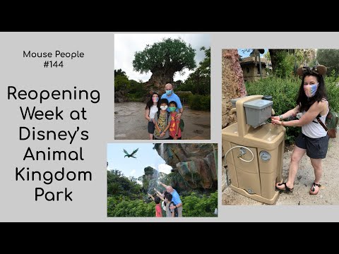 Reopening Week Visit at Disney's Animal Kingdom Park as Florida Residents #144 Safety, Masks, Crowd