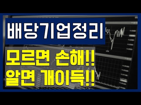 배당주 상위 50 기업 / 이게 은행이자의 몇 배냐? 알면 개이득, 모르면 개손해! / 배당금 많이 주는 기업 정리