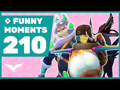 Who let the dogs out ? - Funny Moments #210 LCK 2024