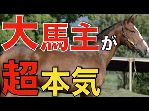 あの種牡馬に大物馬主が超本気！命運を握る存在となりそう。