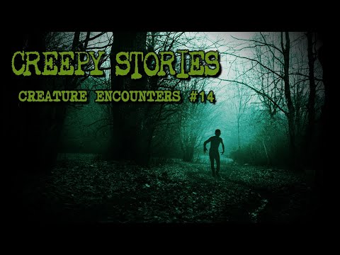 (3) Creepy Stories Submitted by Subscribers | CREATURE ENCOUNTERS #14