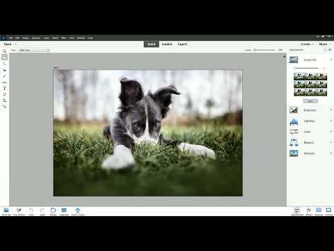 An introduction to Adobe Photoshop Elements 2023