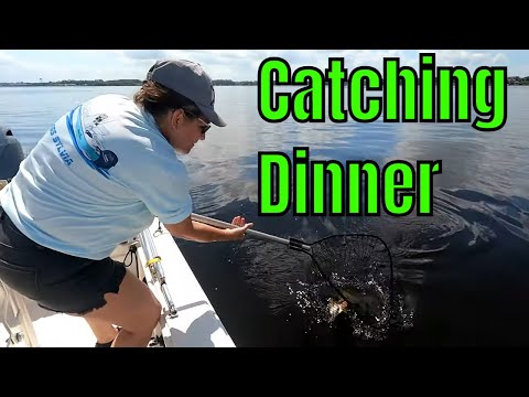 Catching Dinner on the St. Johns River