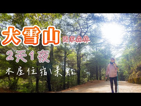 『大雪山國家森林遊樂區』為什麼是屹立不搖的台中夯點