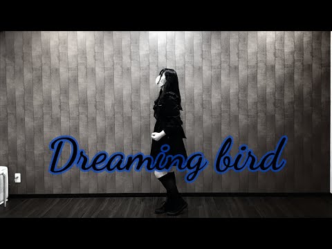 「Dreaming bird」／白銀リリィ 踊ってみた🕊‎❄