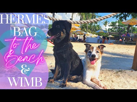 AN HERMÈS BAG FOR THE BEACH, WIMB & MY NEW PUPPY! | Sentosa, Singapore