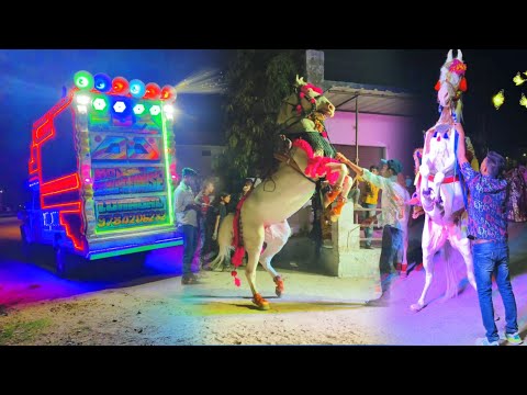 परफ्यूम लगावे चुन्नी म – Perfume Lagve Chunni Mein !! Ghodi Dance Video !! Rajasthani Songs