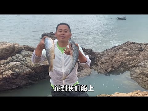 【阿向趕海】 烏頭魚打窩長坑 竟然擒獲30斤魚貨爆賣2200 突發情況花1000才擺平