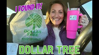 DOLLAR TREE HAUL | Viral New $1.25 Items | I Can’t Believe I Found This At Dollar Tree!