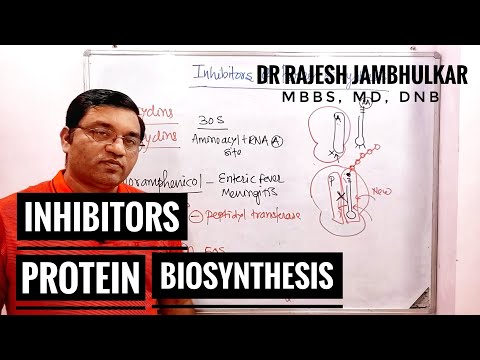 8. Inhibitors of Protein Biosynthesis