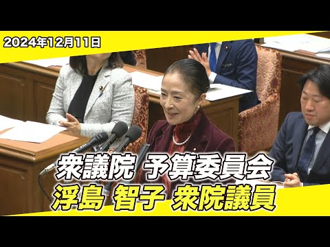 2024/12/11 衆院予算委員会 浮島智子衆院議員