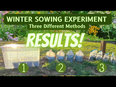 Winter Sowing Experiment RESULTS Are In‼️Winter Sowing Experiment 3 DIFFERENT Methods Reveal 🌱🏅