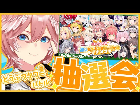 【 #ホロDTBトーナメント 】エンジョイ！ホロどうぶつタワーバトルトーナメント抽選会✨【鷹嶺ルイ/ホロライブ】