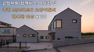 61평 중정형주택 완공기 : 고양이와 함께하는 아름다운 주택과 행복한 이야기들