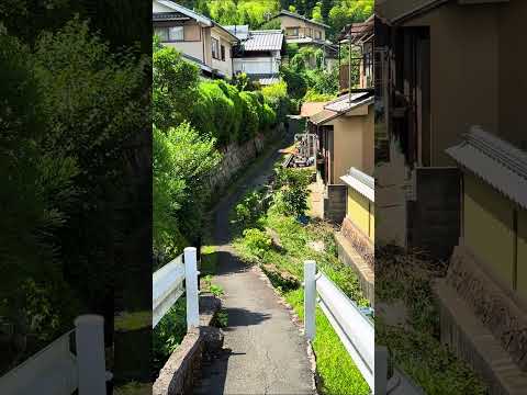 4K Japan Walk #japan #japanwalk #shorts #walkingtour