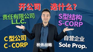 2024 美国开公司该选哪个？公司类型税务战略 | Sole Prop | LLC | C Corp | S Corp