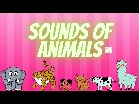 Sounds of Animals//Animals Sound//With All About Kindergarten