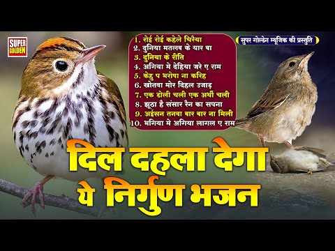 #दिल दहला देगा ये निर्गुण भजन | Nirgun Samajik Bhajan | Rani Thakur