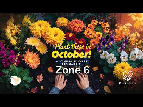 Top Flowers to Plant in October for a Stunning Zone 6 Garden! 🌼