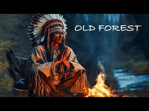 Old Forest - Native American Flute Music - For Calming the Soul, Restoring the Body