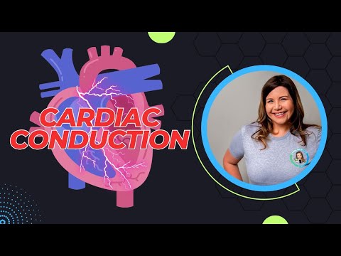 Cardiac Conduction System | Autorhythmic Fibers | Electrical system of the heart