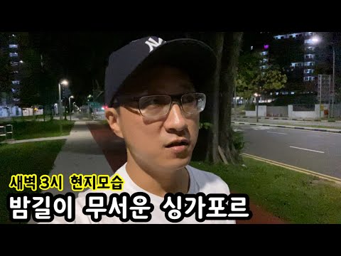 밤길이 무서운 싱가포르 | 새벽 3시 현지 모습 | 이민생활