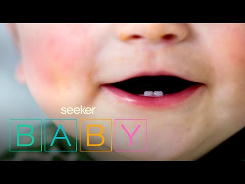 What Are Babies Saying, Anyway?!