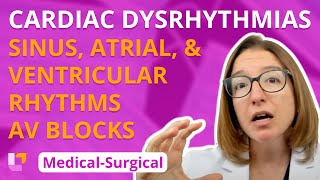 Cardiac Dysrhythmias - Medical-Surgical - Cardiovascular System | @LevelUpRN