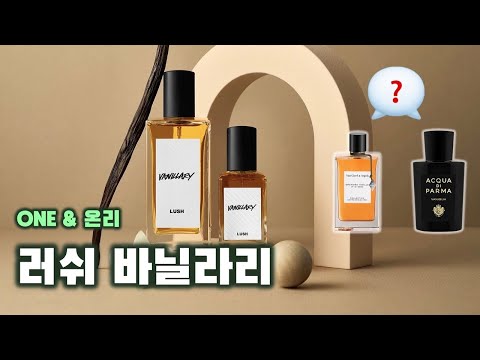 러쉬 바닐라리 리뷰 🍨 | 이게 바로 그 러쉬의 바닐라 향수! 지친 당신을 포근히 안아줄 러쉬 바닐라리 (feat. 반클리프 아펠, 아쿠아 디 파르마) [ONE & 온리]